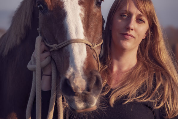 Photographie de portrait d'un cheval