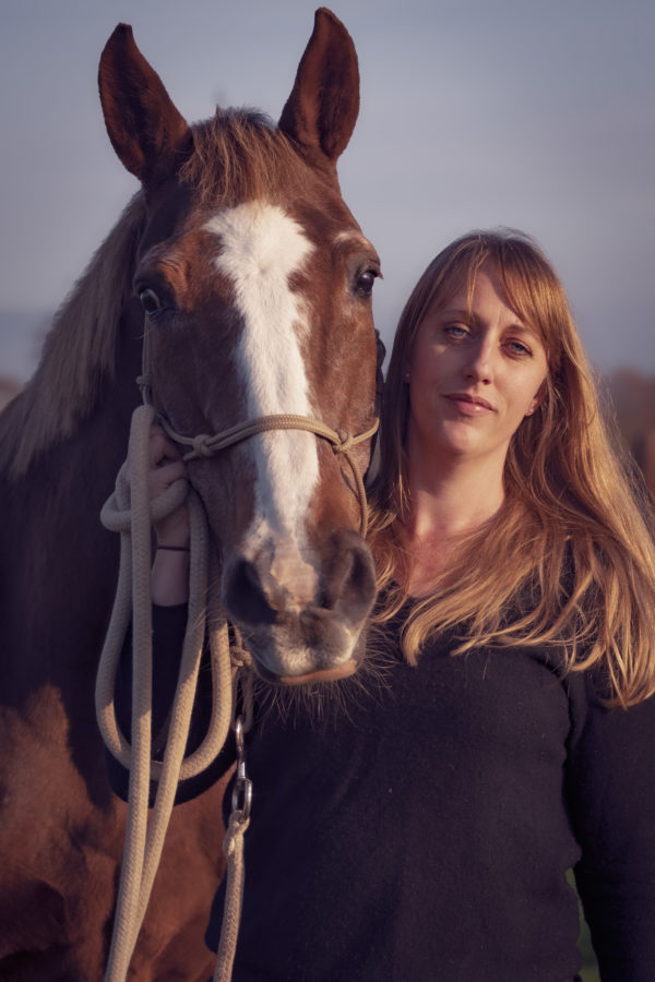 Photographie de portrait d'un cheval