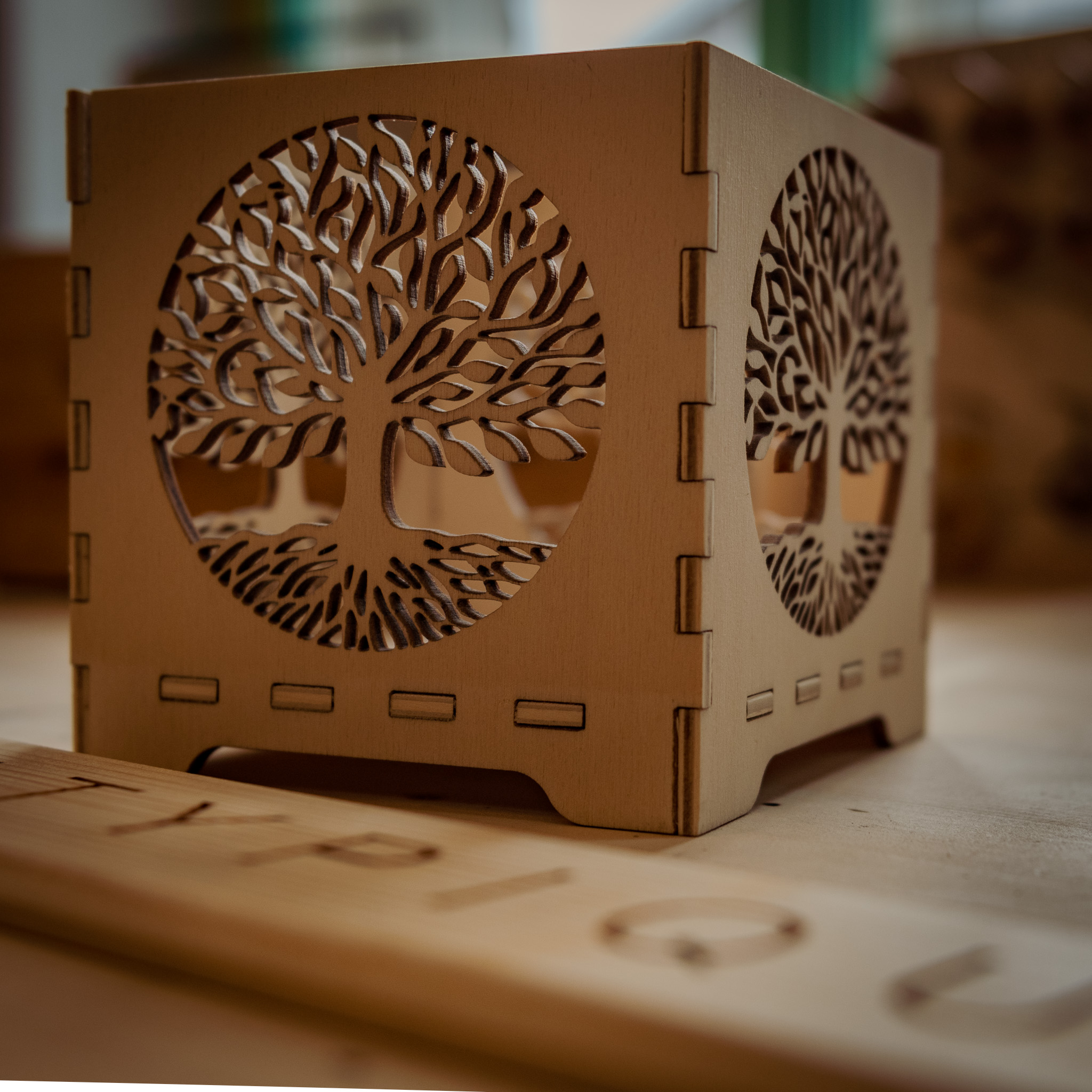 Atelier Atypique de Luigi