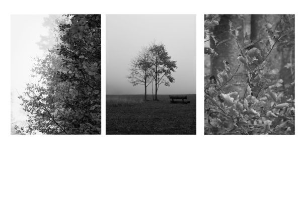 tryptique noir et blanc