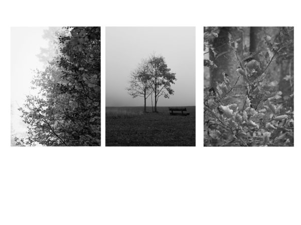 tryptique noir et blanc