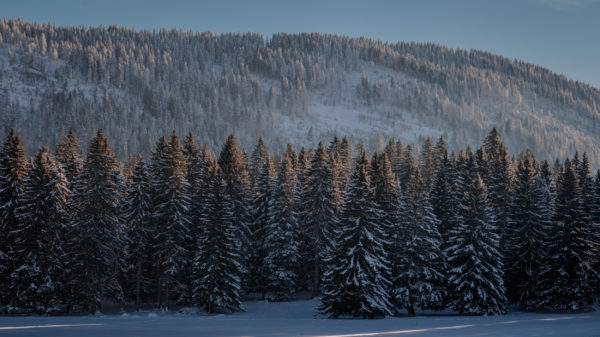 Paysage d'hiver ste croix