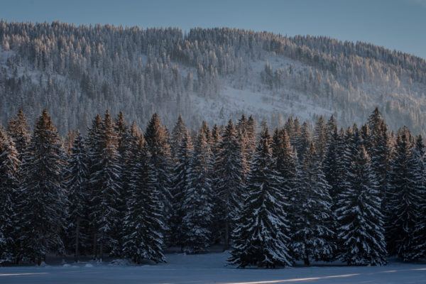 Paysage d'hiver ste croix